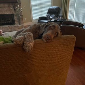 Meet your Posher, Jackie